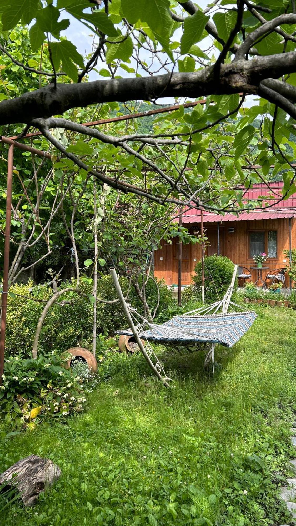 Ludwig Guesthouse 拉戈代希 外观 照片