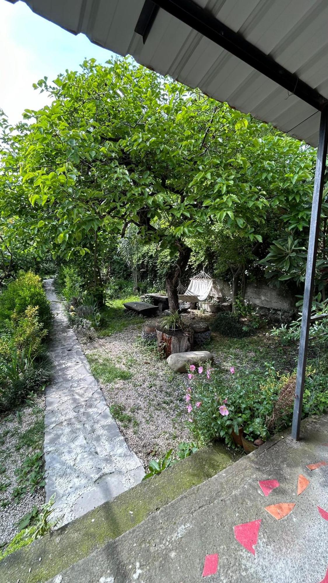 Ludwig Guesthouse 拉戈代希 外观 照片