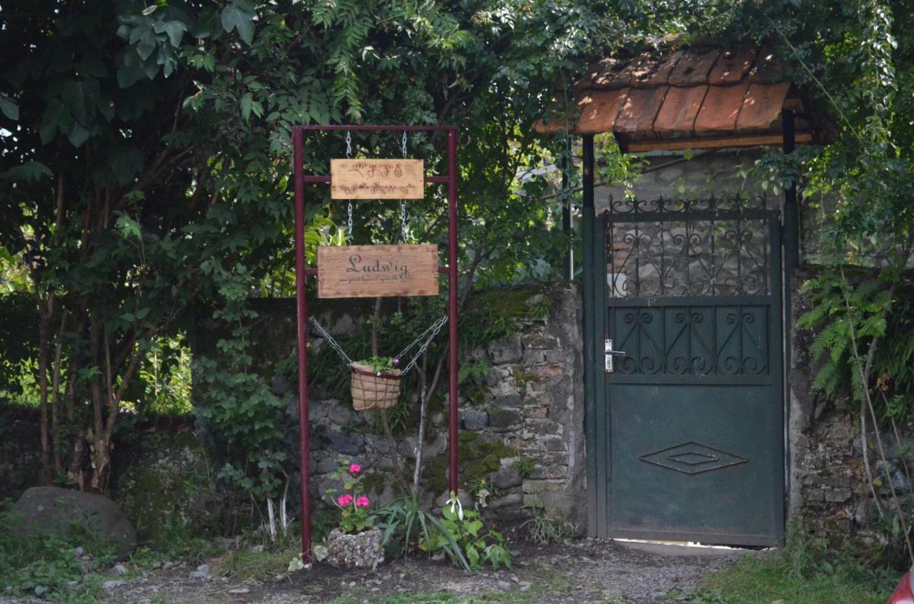 Ludwig Guesthouse 拉戈代希 外观 照片